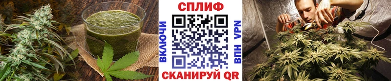 Еда ТГК конопля  закладки  omg сайт  Братск 