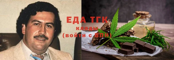 шишки Абаза