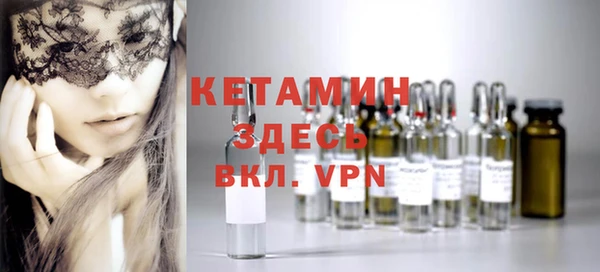 шишки Абаза