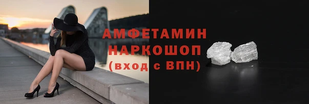 шишки Абаза