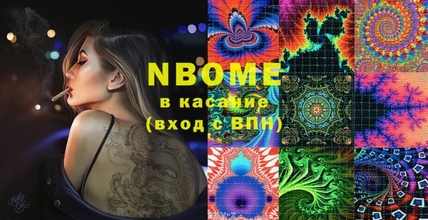 шишки Абаза