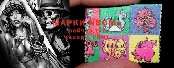 шишки Абаза