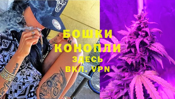 шишки Абаза