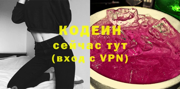 шишки Абаза